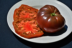 Cherokee Purple Tomato (Solanum lycopersicum 'Cherokee Purple') at Wolf's Blooms & Berries