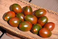 Chocolate Sprinkles Tomato (Solanum lycopersicum 'Chocolate Sprinkles') at Wolf's Blooms & Berries