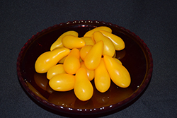 Yellow Pear Tomato (Solanum lycopersicum 'Yellow Pear') at Wolf's Blooms & Berries