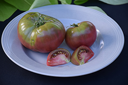 Black Krim Tomato (Solanum lycopersicum 'Black Krim') at Wolf's Blooms & Berries